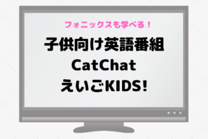CatChat